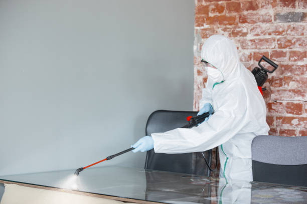 Best Residential Mold Inspection & Testing  in Green Springs, OH